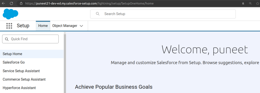 Org B (target / Service): puneet21