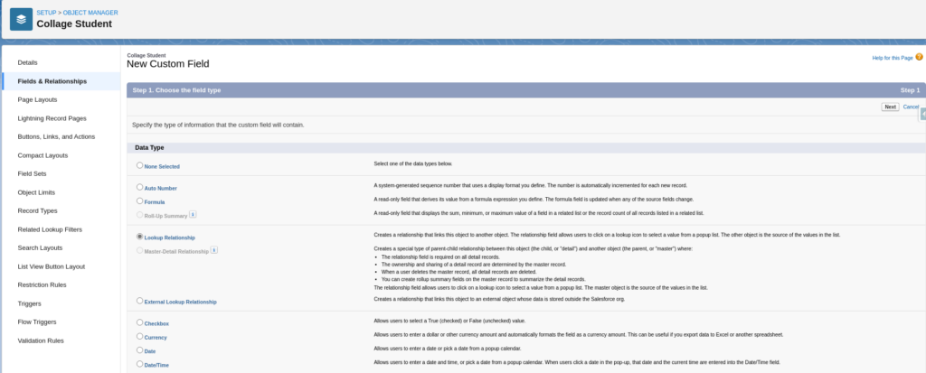 Select Relationship Data Type