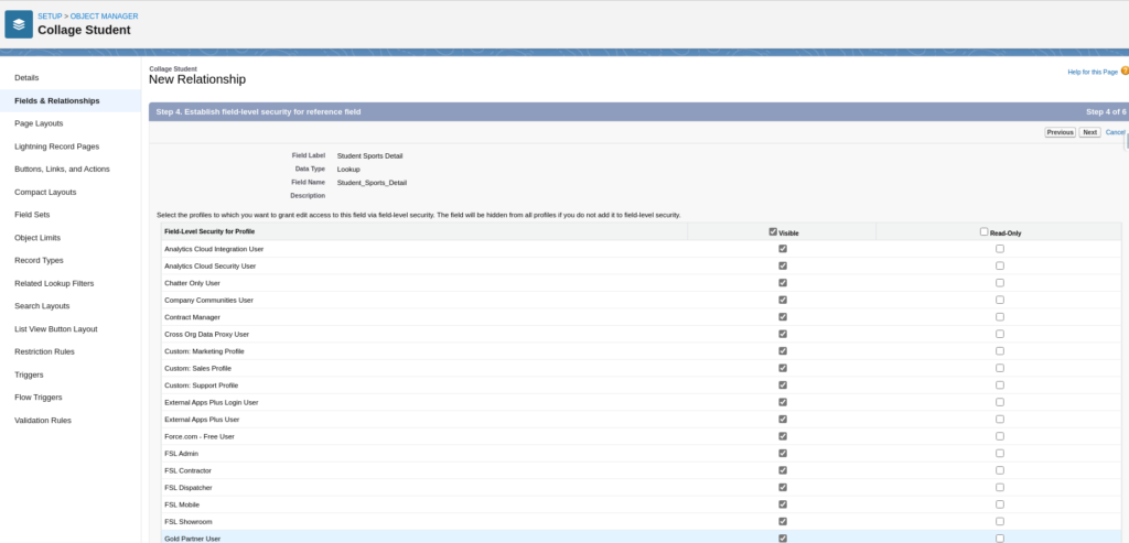 Set Field Level Security For Each Profiles